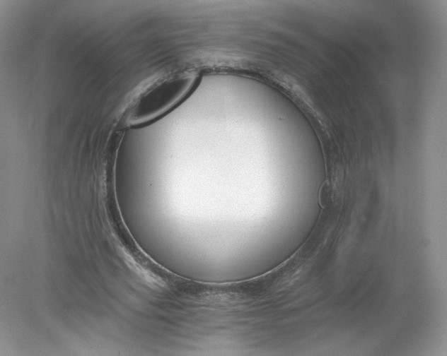 X0000078280629200611172057