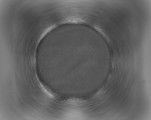 X0000078280630200611172057