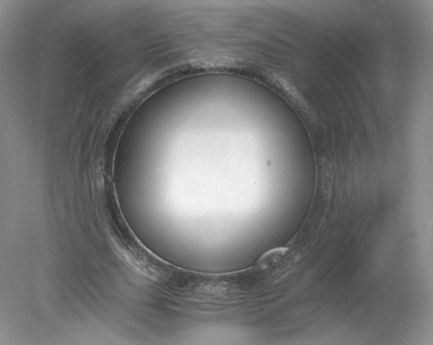 X0000078280631200611172057