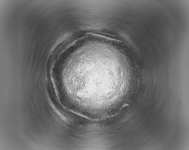 X0000078280634200611172057