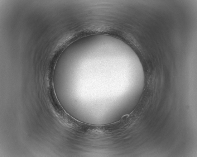 X0000078280635200611172057