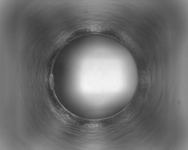 X0000078280639200611172057