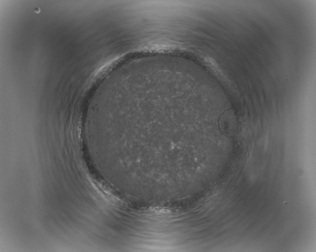 X0000078280640200611172057