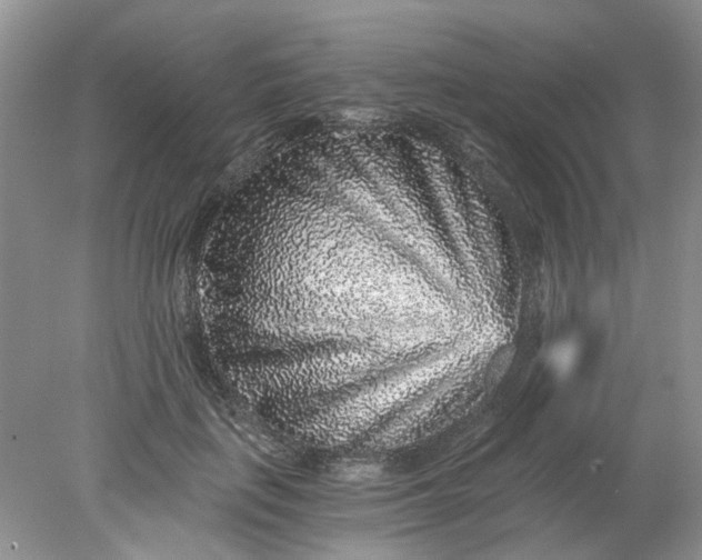 X0000078280651200611172057