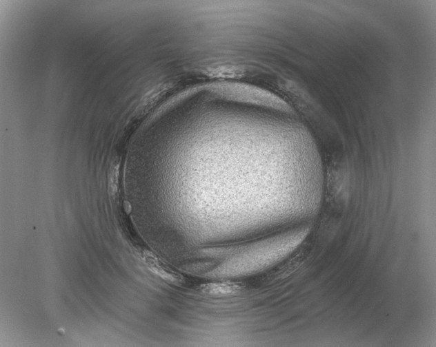 X0000078280652200611172057