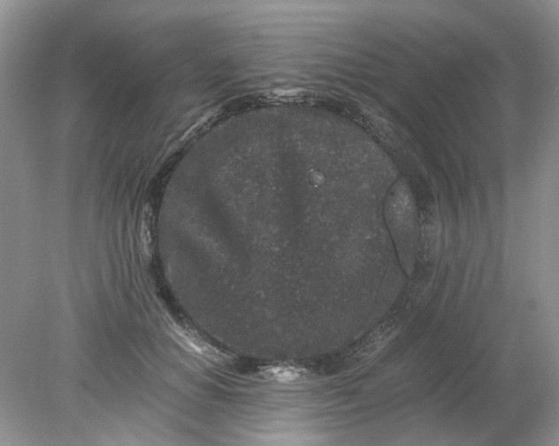 X0000078280654200611172058