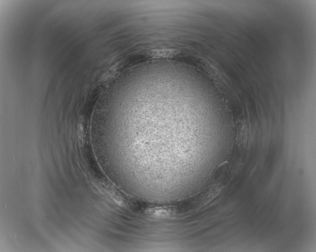 X0000078280655200611172058