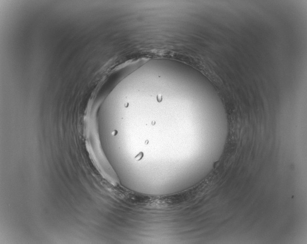 X0000078280656200611172058