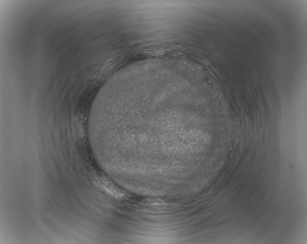 X0000078280658200611172058