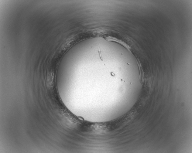 X0000078280660200611172058