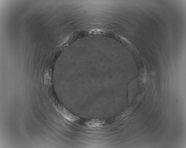 X0000078280661200611172058