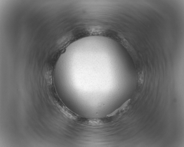 X0000078280666200611172058