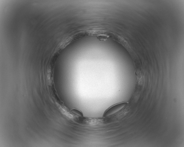 X0000078280670200611172058