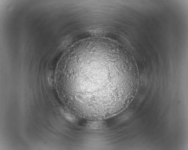 X0000078280671200611172058