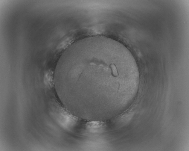 X0000078280672200611172058