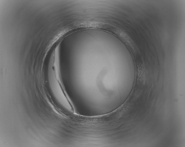 X0000078280674200611172057