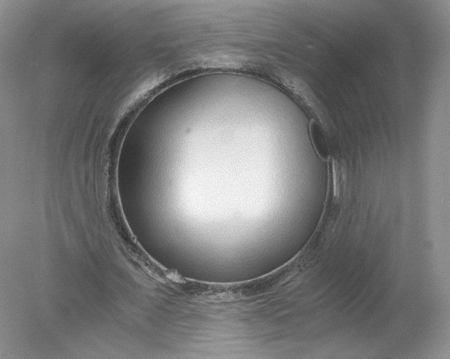 X0000078280675200611172057