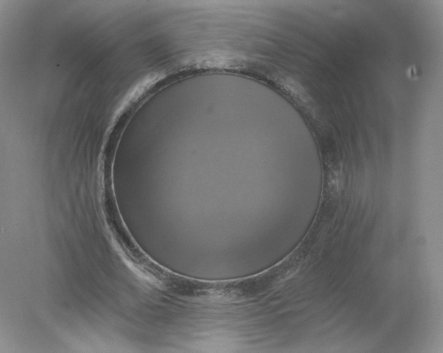 X0000078280678200611172057