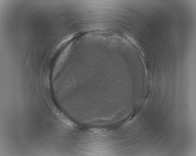 X0000078280681200611172057