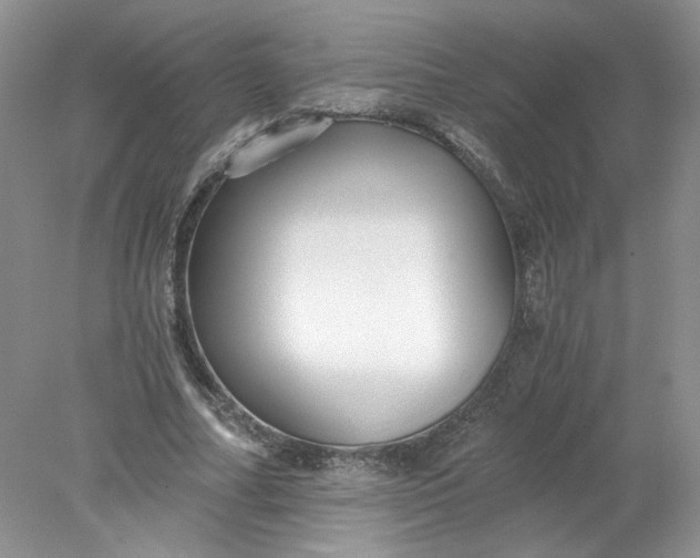 X0000078280682200611172057