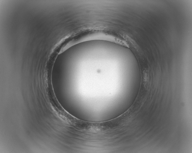 X0000078280684200611172057