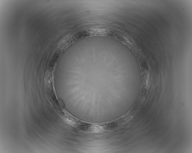 X0000078280701200611172057