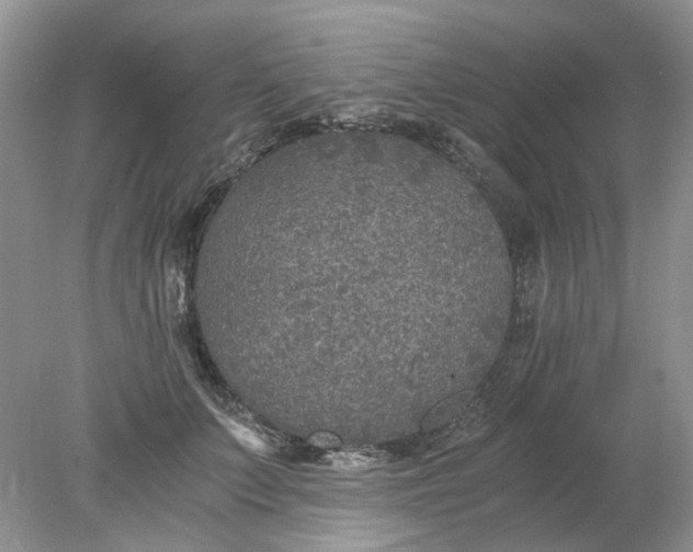 X0000078280703200611172056