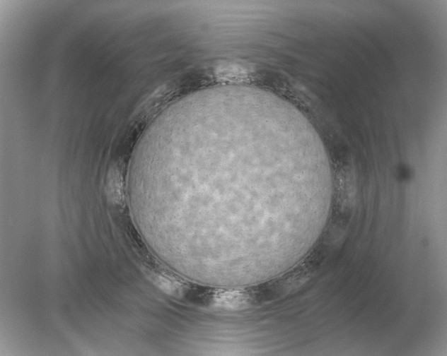 X0000078280705200611172056