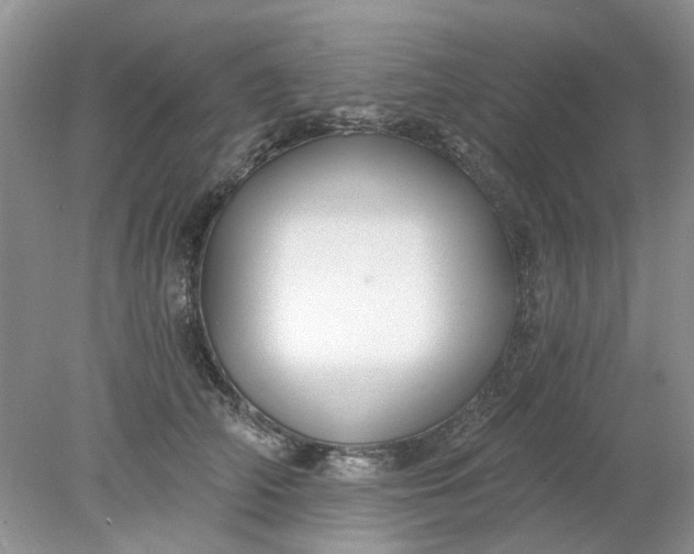 X0000078280706200611172056