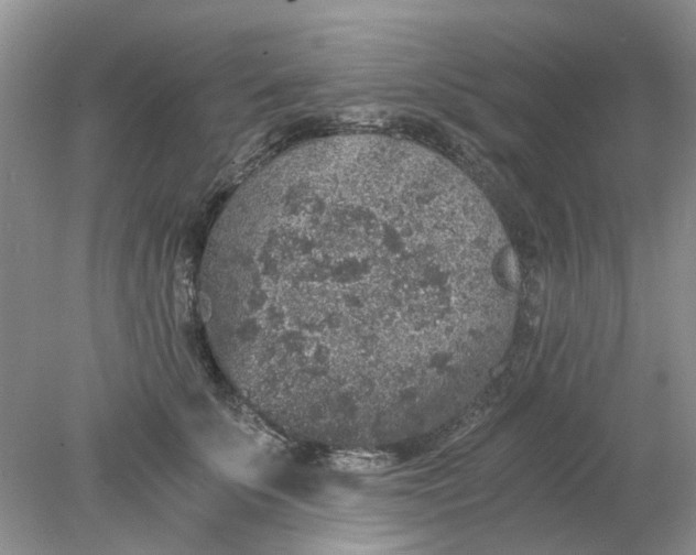 X0000078280707200611172056