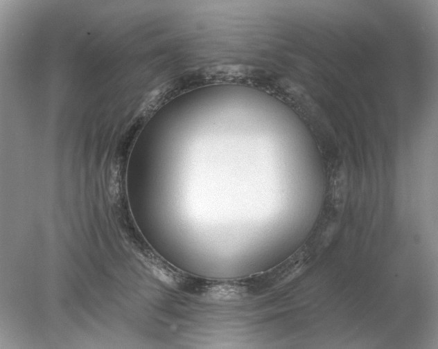 X0000078280708200611172056