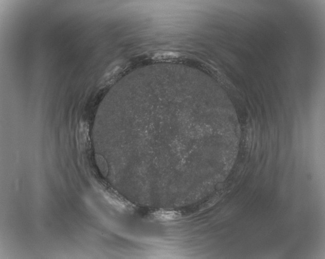 X0000078280711200611172056