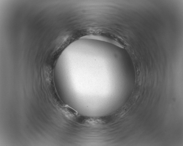 X0000078280712200611172056