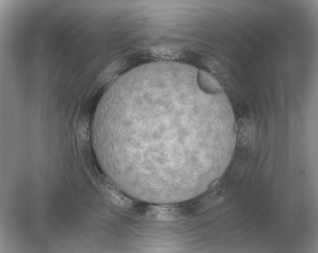 X0000078280713200611172056