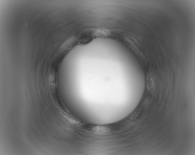 X0000078280714200611172056