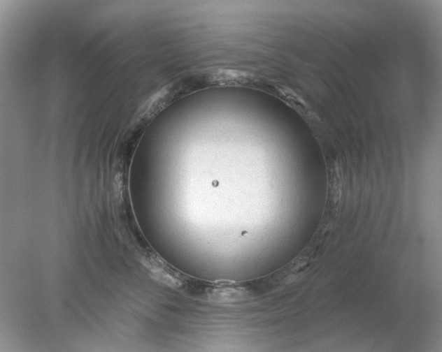 X0000078280716200611172056