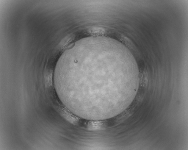 X0000078280717200611172056