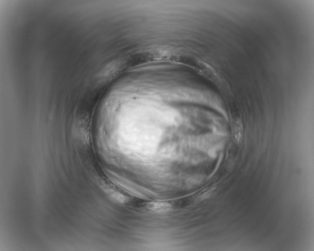 X0000078280719200611172056