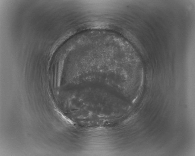 X0000078280721200611172055