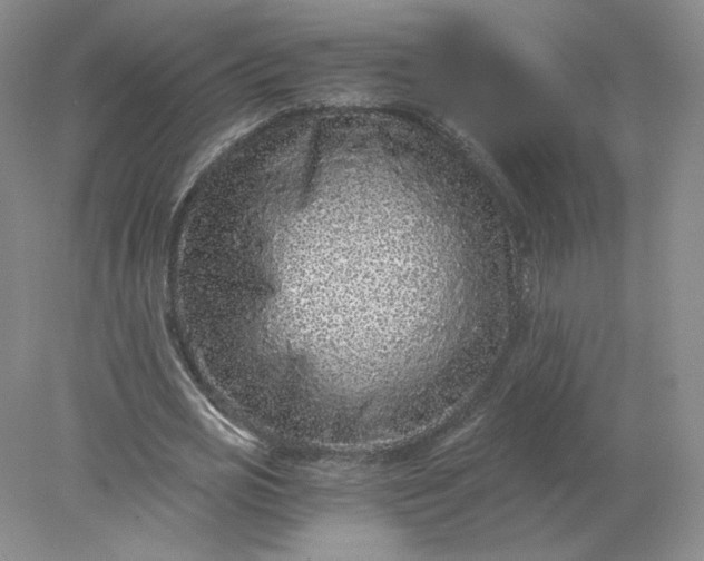 X0000078280725200611172055