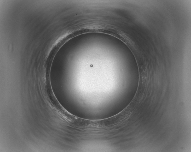 X0000078280727200611172056