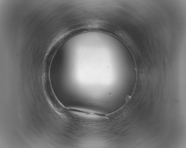 X0000078280728200611172056