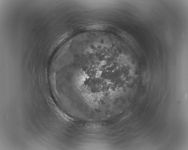 X0000078280729200611172056