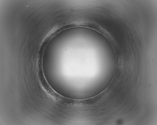 X0000078280730200611172056