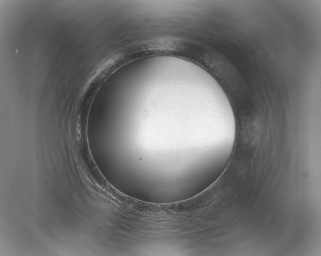 X0000078280731200611172056