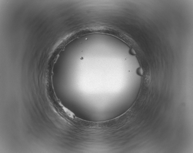 X0000078280732200611172056