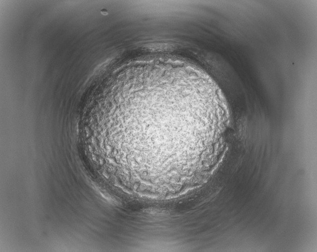 X0000078280733200611172056