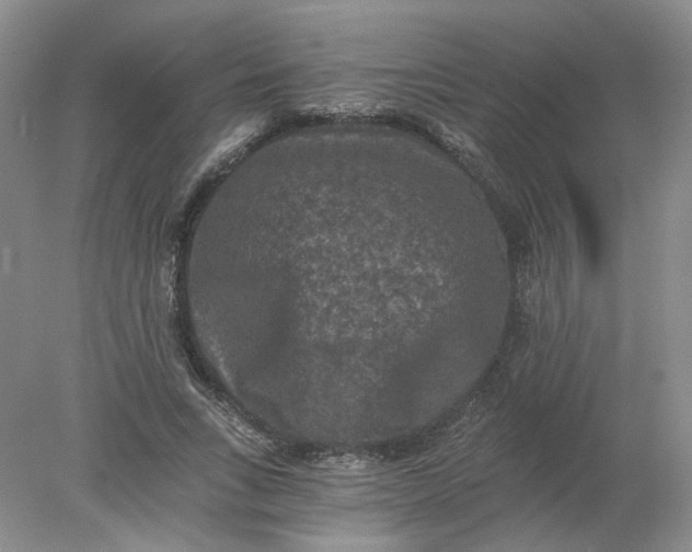 X0000078280735200611172056