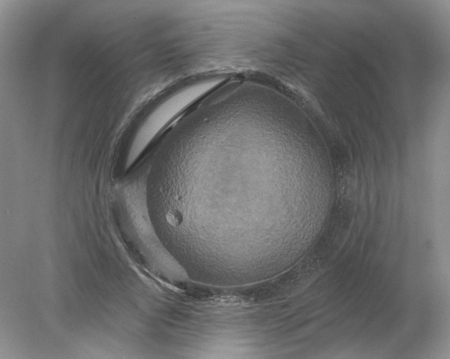 X0000078280736200611172056