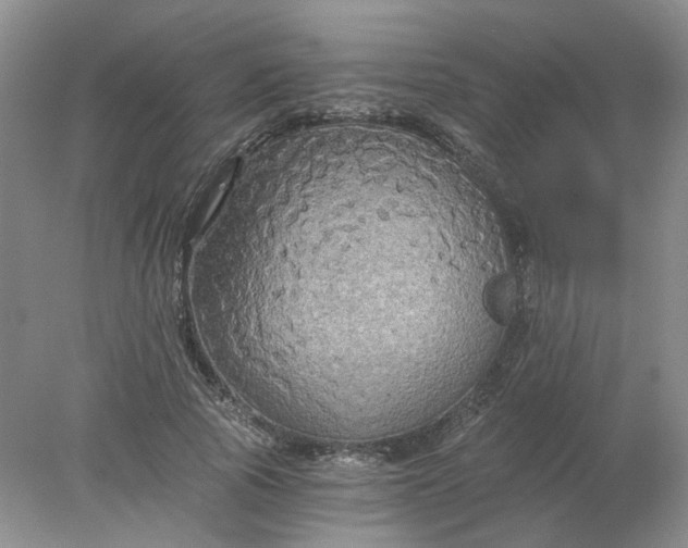 X0000078280737200611172056